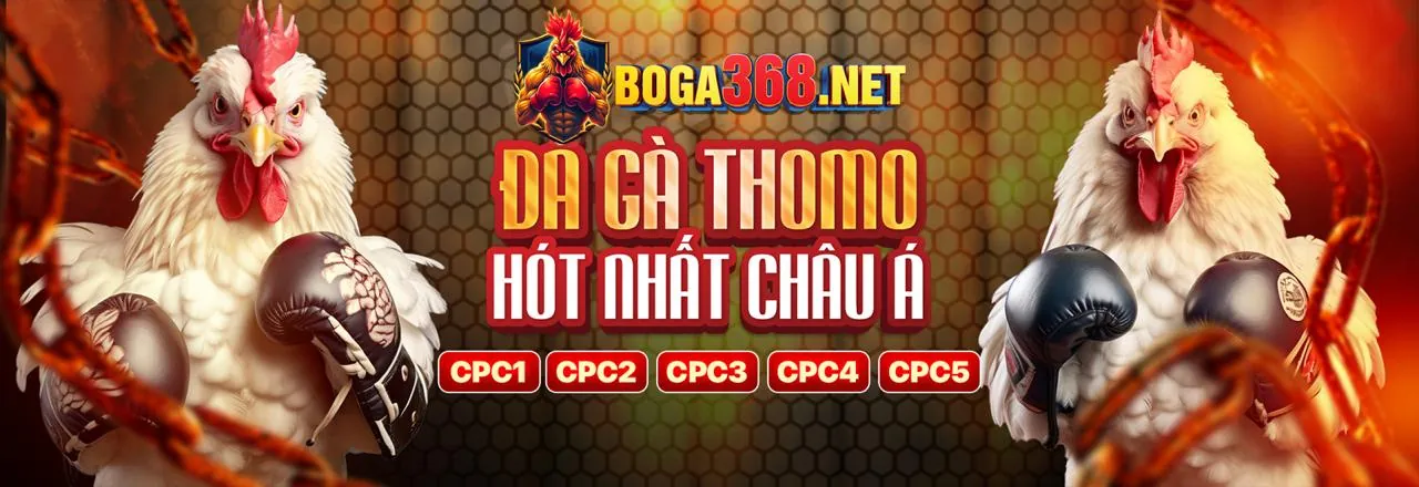 Cá cược trực tiếp theo thời gian thực