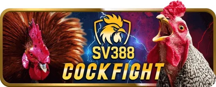 Điền thông tin cá nhân để đăng ký 288bet